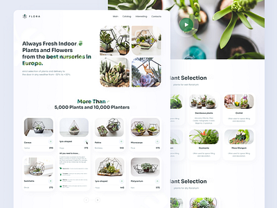 Plants shop landing page