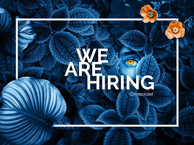 We are hiring agency creative design flower hiring job