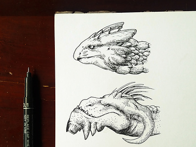 Dragon Sketch artwork bali dragon fairytale fantasy fantasyart folklore illustrator ink inktober lizard mythology pen sketch traditional art tutorial