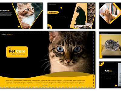 Pet Care - Creative PowerPoint Template advertisement advertisement design corporate ecommerce ecommerce design enterpreneur infographics design powerpoint presentation powerpoint template presentation