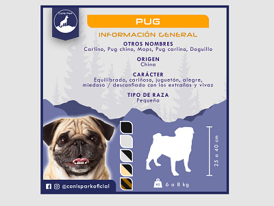 Infografia canina - Infography Design design dog infographic pug