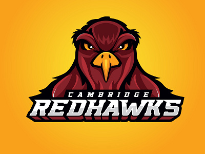 Cambridge RedHawks branding design illustration logo vector