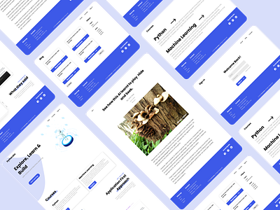 Pytholabs Redesign Concept app concept design uidesign web webdesign webdesigner