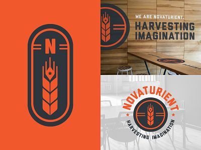 Novaturient Concept 1 branding concept logo novaturient wheat