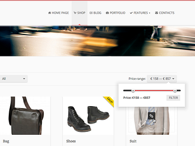 Price Range ecommerce price range slider tooltip woocommerce wordpress