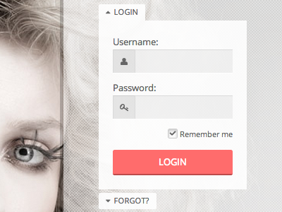 Login Form accordion form login password submit web design widget wordpress wordpress theme