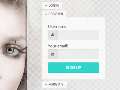 Register Form accordion form login password register submit web design widget wordpress wordpress theme