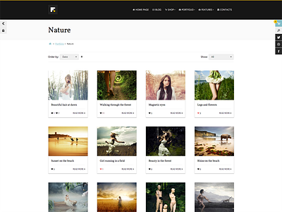 Portfolio Page Alternative Skin portfolio skin web design wordpress wordpress theme