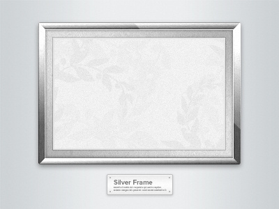 Silver Frame