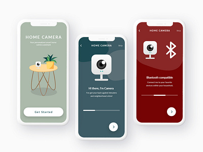 Home Security Camera App Concept