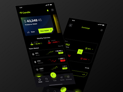 Crypto Wallet App Concept