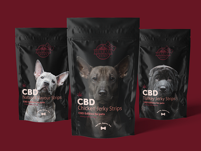 CBD for Pets