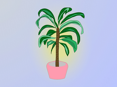 House Plant