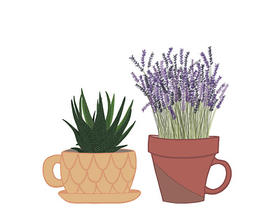 Herbal tea design illustration lavender plant lady plants succulent tea cup tea time