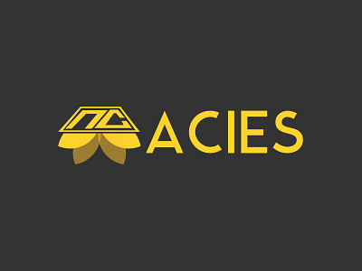ACIES branding illustration inspiration logo logo design logo designer logo ideas logo inspiration tahsin nihan unique logo