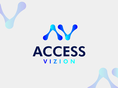 Access Vizion