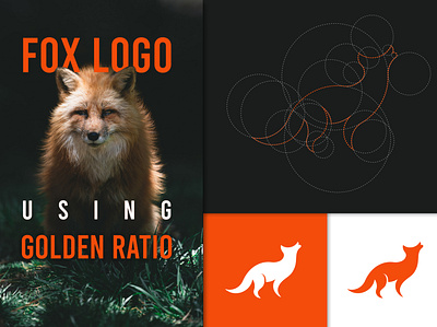 Fox Golden Ratio Logo branding golden ratio logo illustration inspiration logo logo design logo designer logo ideas ui unique logo