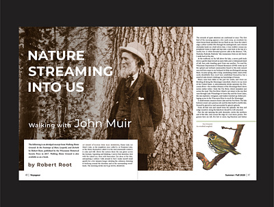 Voyageur Nature Streaming-Walking with John Muir Article Spreads article design illustration magazine