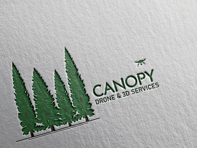 CANOPY DRONE & 3D SERVICES LOGO brand identity branding custom design flat icon logo minimalist signature symbol