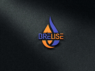 BL Logo | Brelise Logo | Logo Design | Logo Trends 2020 brand identity branding custom flat letter logo design signature