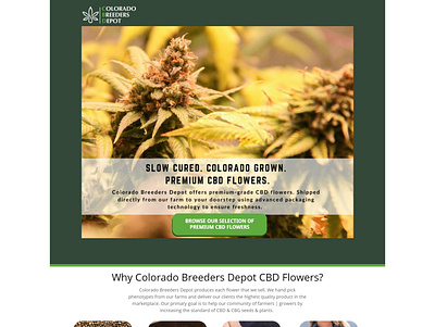 CBD Hemp Flower Landing Page cbd cbd logo design farming flower hemp hemp logo landing page