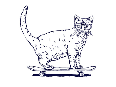 Cat cat cat lovers cat riding kitten kitty lol cat ride skateboard
