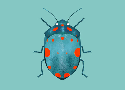 Insect Bettle bettle drawing illustration illustrator insect procreate sketch texture