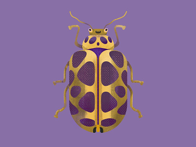Insect brush drawing flat design illustration illustrator insect procreate sketch texture vector