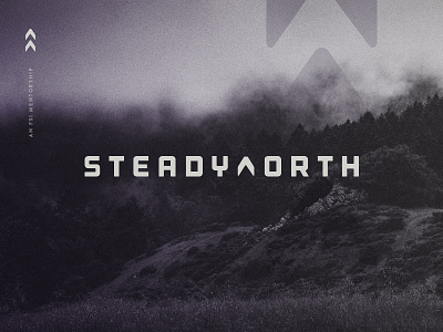 Steady North WIP branding mentorship north steady wip