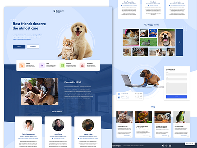 HaloPet Vet Clinic concept design health landing landingpage pets petshop veterinarian veterinary web