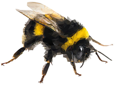 Bumble Bee bee illustration nature polygonal wildlife