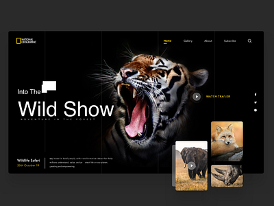 Wildlife Landing Page design graphic design interface landing page minimal ui