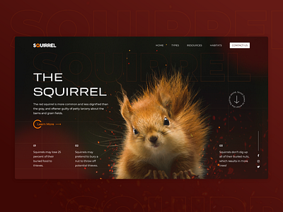 Landing Page-The Squirrel animal bird creative design dribbble2022 ecommerce illustration landing page ui ui design ux web design website