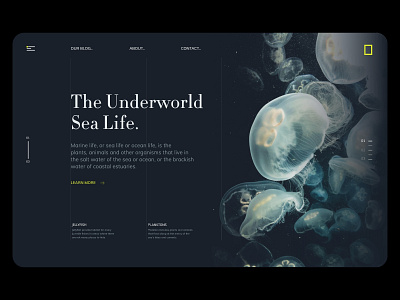 The Underworld Webdesign clean dark dark ui education website interaction landing page landing page design nat geo national geographic ui uidesign web design