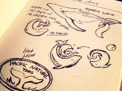 Logo Sketch Phase WIP dolphins nature tour whale