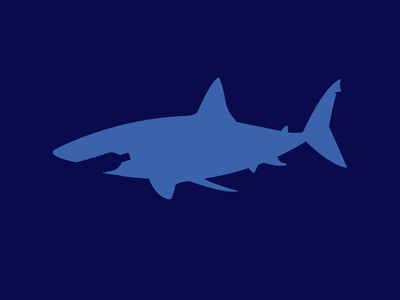 Sea Pollution danger ocean plastic pollution sea shark