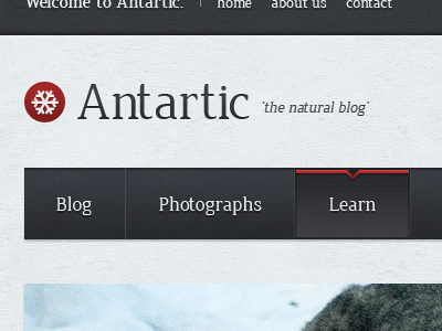 Antartic: Blog Theme #1 blog blue ice menu red