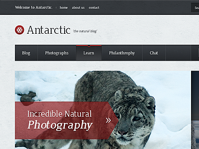 Antarctic Blog Theme antarctic blog blue ice
