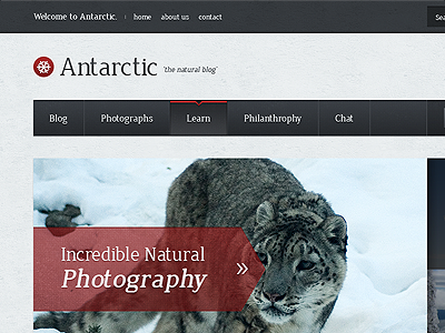 Antarctic Blog Theme