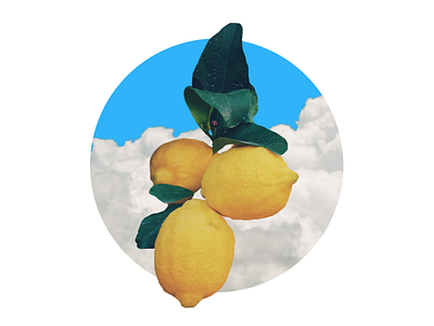 Lemon Collage