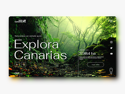 Canary Islands' tourism website 03 design graphic design ui ux web design webdesign