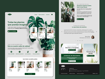 "Plantas" e-commerce - UI design 02 design graphic design ui ux web design