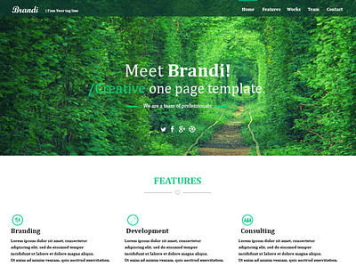Meet Brandi! Website PSD Template psd psd template template website website design