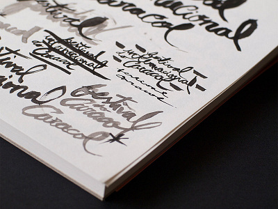 FIC type sketches brush caligraphy hand drawn ink sketch typography