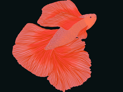 Beta fish digital art art beta fish digital art fish red