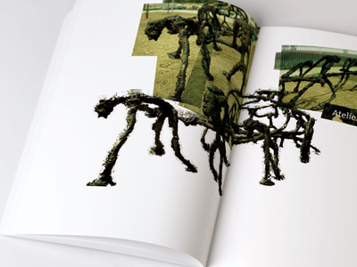 Diseno Editorial de libro Intervenciones Artisticas Expo