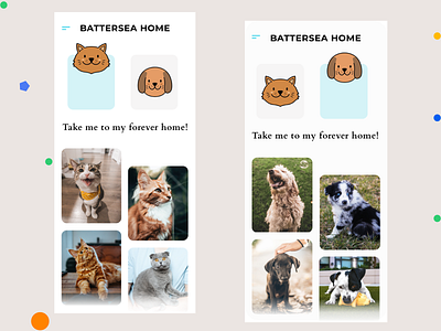 Cat & Dog Adoption Interface dailyui design interface design product design sketchapp ui uidesign uiux ux uxdesign uxui uxuidesign webdesign