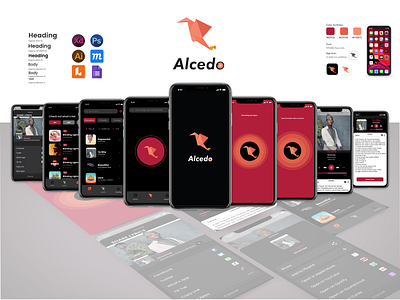 Alcedo Music Recognizer app