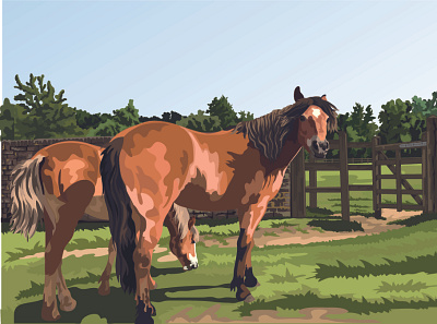 New Forest Ponies adobe illustrator design digital art digital illustration digital painting illustration vector