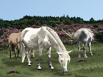 New Forest Ponies In Heather adobe illustrator design digital art digital illustration digital painting illustration vector